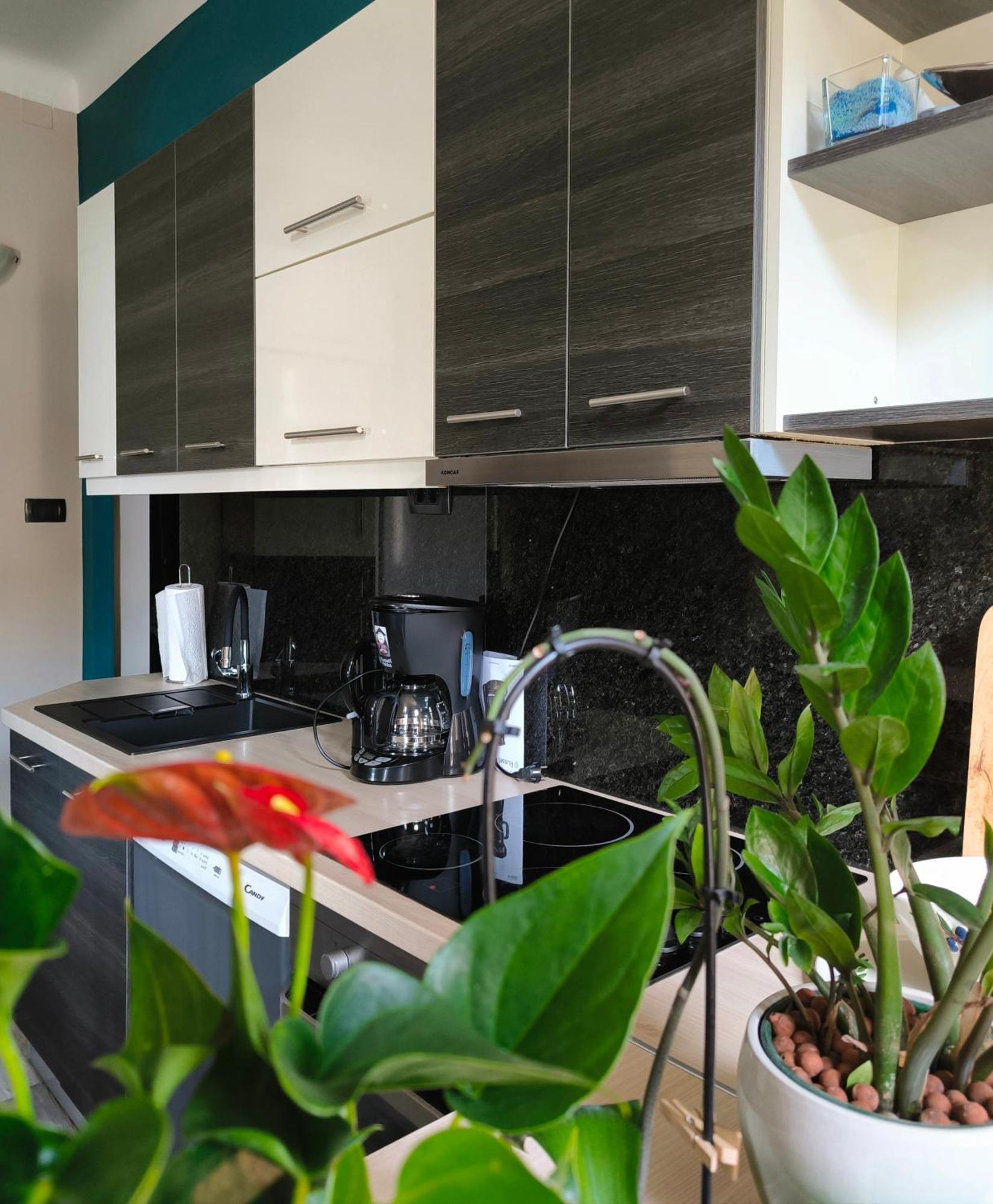 Urban Villa Apartment Opatija Exteriér fotografie